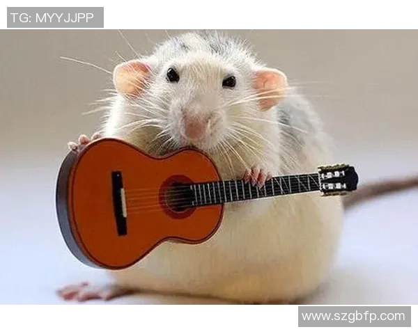 足球明星歪头搞笑瞬间合集欣赏让你捧腹大笑的精彩图片分享