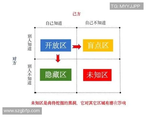 深度分析上海排球队防反战术的独特魅力与实战应用