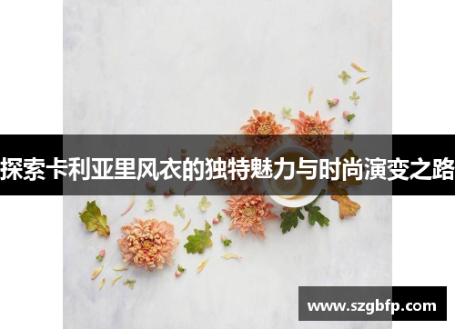 探索卡利亚里风衣的独特魅力与时尚演变之路