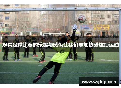 观看足球比赛的乐趣与感悟让我们更加热爱这项运动