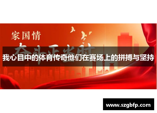 我心目中的体育传奇他们在赛场上的拼搏与坚持
