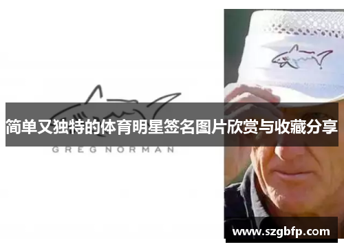 简单又独特的体育明星签名图片欣赏与收藏分享