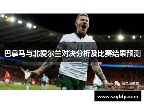 巴拿马与北爱尔兰对决分析及比赛结果预测