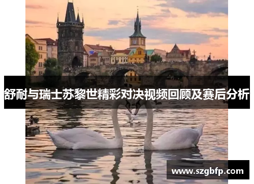 舒耐与瑞士苏黎世精彩对决视频回顾及赛后分析